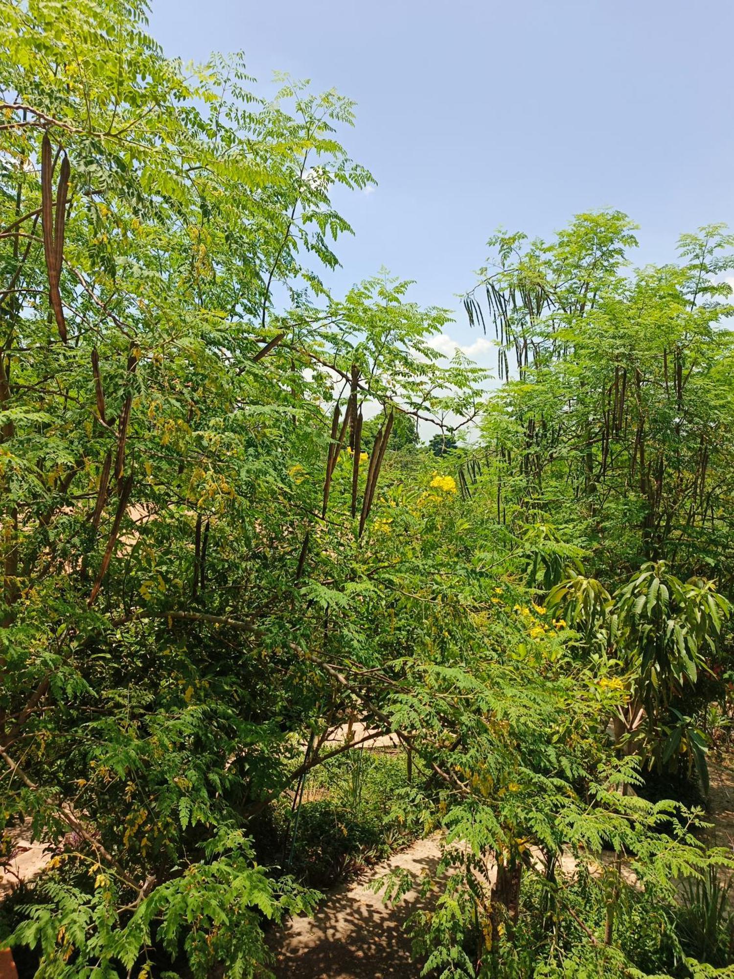 Silk Island Homestay Phnom Penh Luaran gambar